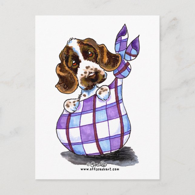 Carte Postale Anglais Cocker Spaniel Sack Puppy (Devant)