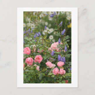 Carte Postale Anglais Cottage Garden