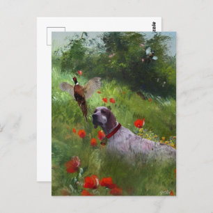 Carte Postale Anglais Setter, Chasse de faisan