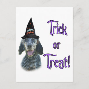 Carte Postale Anglais Setter Trick