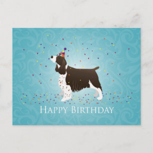 Carte Postale Anglais Springer Spaniel Design d'anniversaire