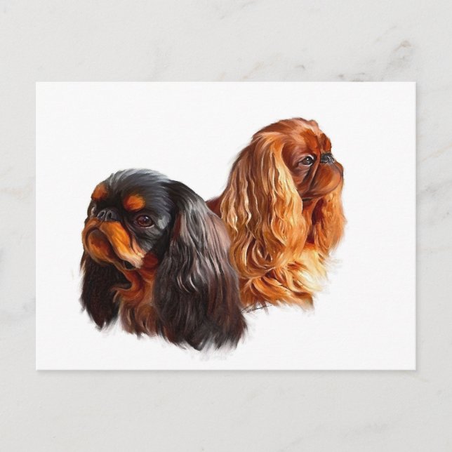 Carte Postale Anglais Toy Spaniel (Devant)
