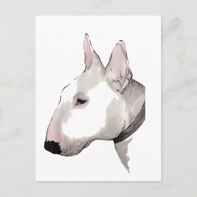 carte postale anglaise de bull-terrier (Devant)