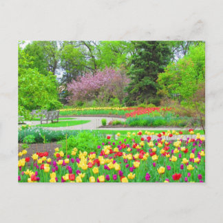Carte postale anglaise Garden Tulip Time