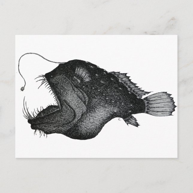 Carte Postale Anglerfish (Devant)