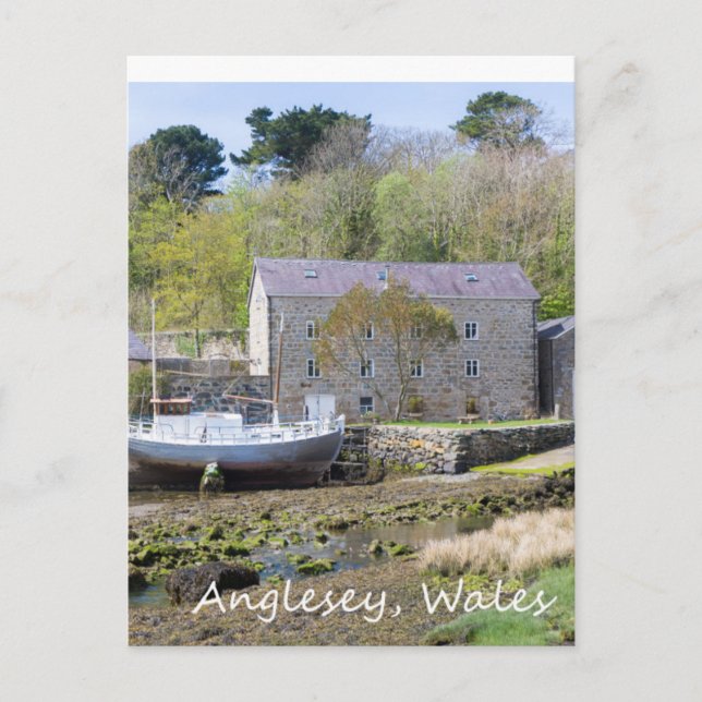 Carte Postale Anglesey, Pays de Galles (Devant)