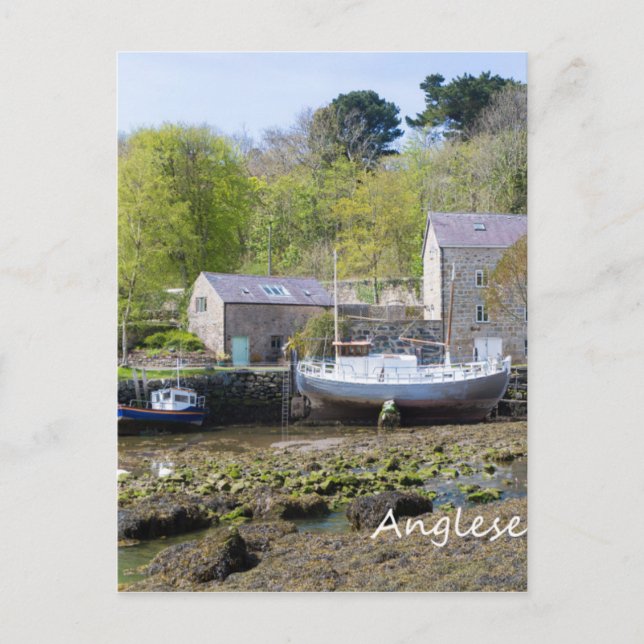 Carte Postale Anglesey, Pays de Galles (Devant)