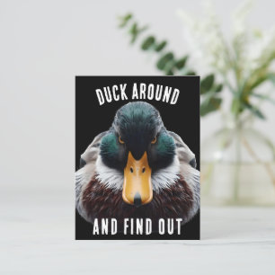 Carte Postale Angry Duck dit Duck Around and Find
