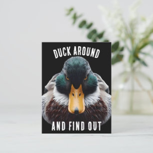 Carte Postale Angry Duck dit Duck Around and Find