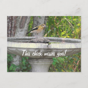 Carte Postale Angry Look Bird avec votre phrase