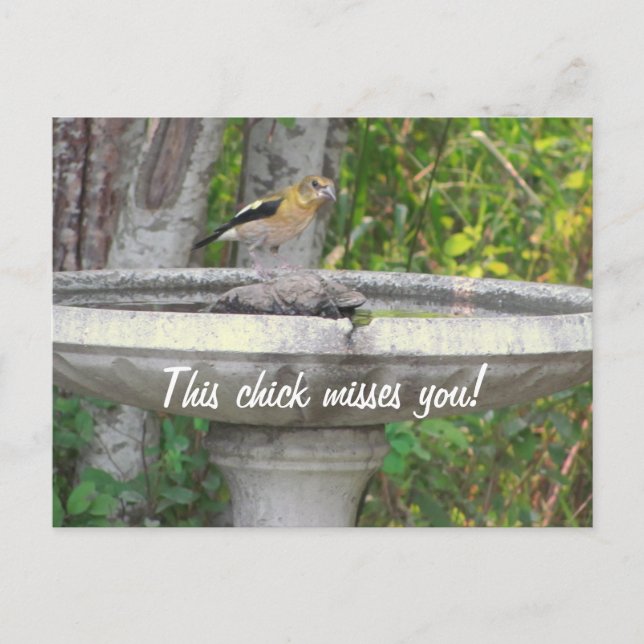 Carte Postale Angry Look Bird avec votre phrase (Devant)
