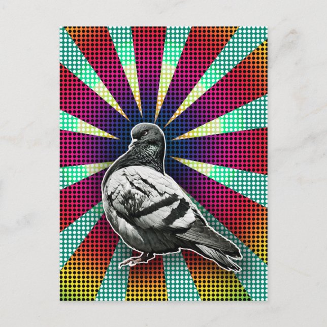 Carte Postale Angry Pigeon Postcard (Devant)
