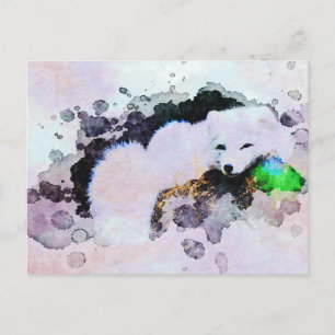 Carte Postale *~* Animal AP18 Renard des neiges Renard blanc pol