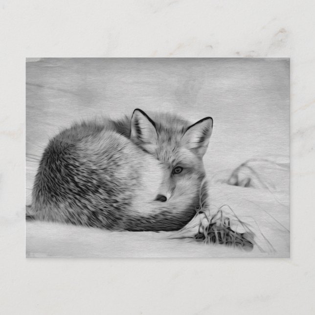 Carte Postale *~* Animal artistique Red Fox Ap18 Artsy Wildlife (Devant)