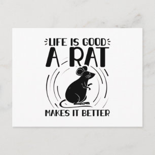 Carte Postale Animal de compagnie   Rats rongeurs Animaux Cadeau