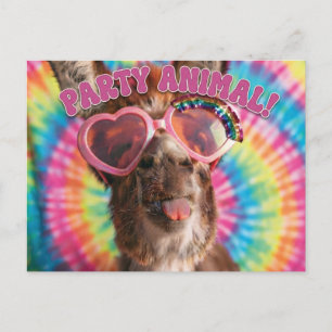 Carte Postale Animal de Fête - Âne Drôle Portant des Lunettes de