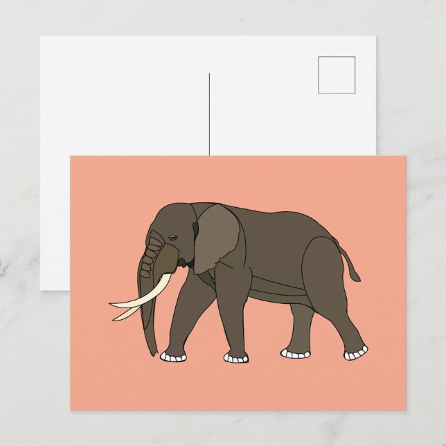 Carte Postale Animal Éléphant (Devant / Derrière)