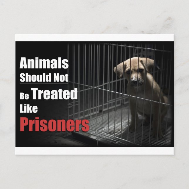 Carte postale Animal Not Prisoners (Devant)