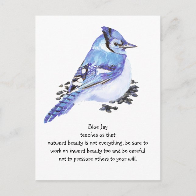 Carte Postale Animal Totem Blue Jay Inspiration Nature Guide (Devant)