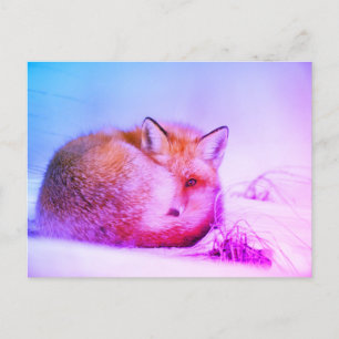 Carte Postale *~* Animal unique Red Fox Ap18 Faune artistique
