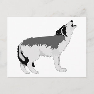 Carte Postale Animal Wolf Nature Paix Aimer Destinée