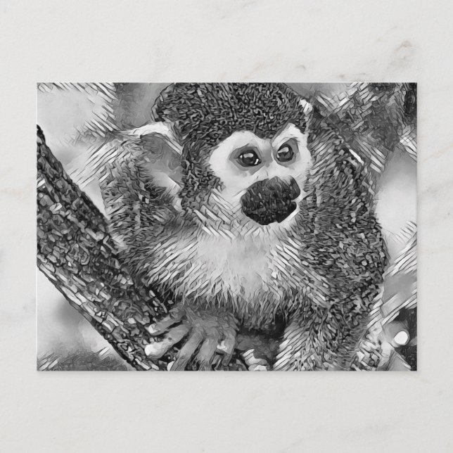 Carte Postale AnimalArtBW_Monkey_002 (Devant)