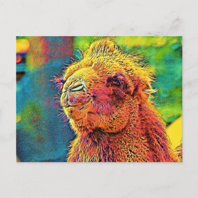 Carte Postale AnimalColor_Camel_07 (Devant)
