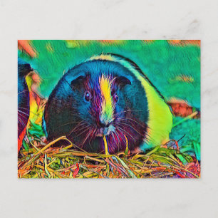 Carte Postale AnimalColor_Cobaye_002