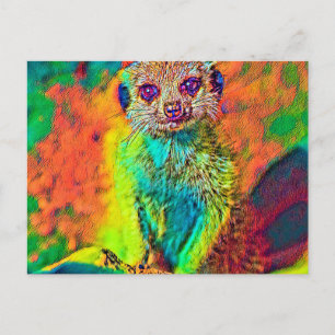 Carte Postale AnimalColor_Meerkat_015