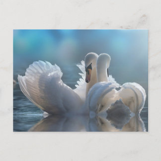 Carte postale animale