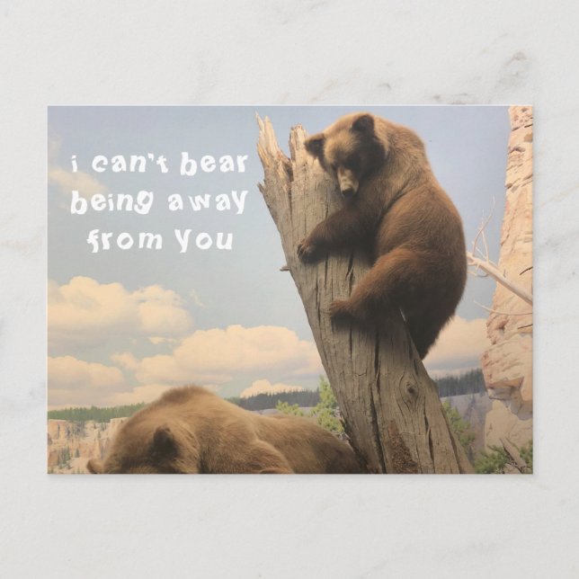 Carte postale animale manquante (Devant)