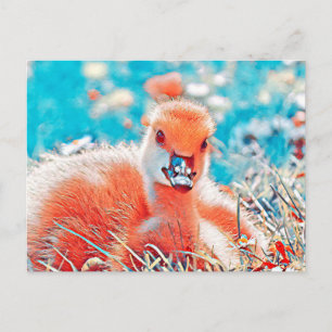 Carte Postale AnimalMix_Bird_019