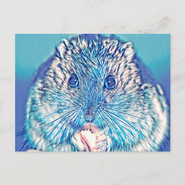 Carte Postale AnimalMix_Hamster_003 (Devant)