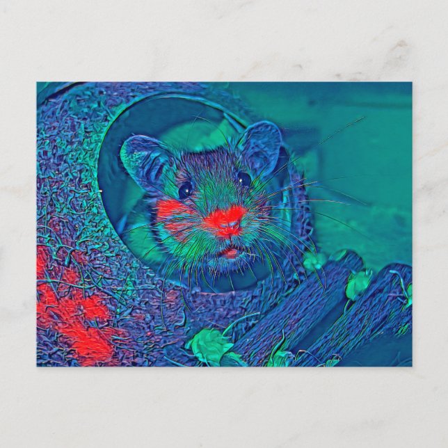 Carte Postale AnimalMix_Hamster_005 (Devant)