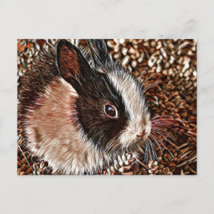 Carte Postale AnimalMix_Lapin_005