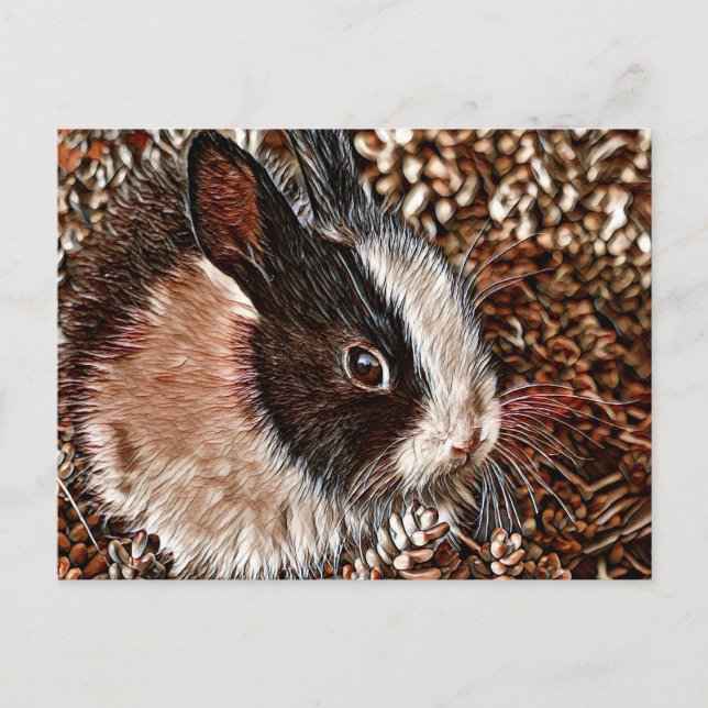 Carte Postale AnimalMix_Lapin_005 (Devant)