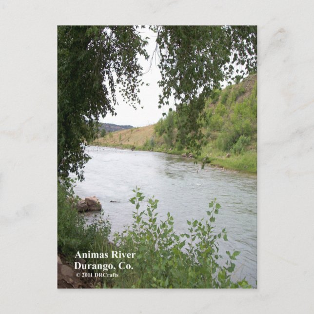 Carte Postale Animas (Devant)
