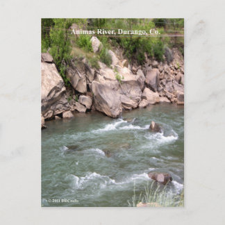 Carte Postale Animas River Rapids