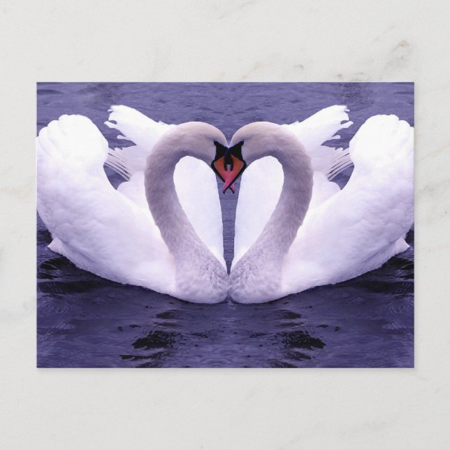 Carte postale Animaux 30 (Devant)