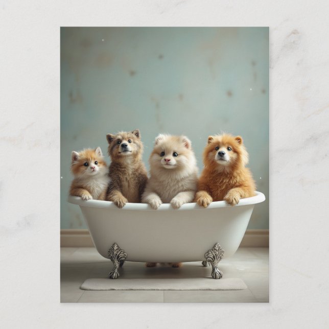 Carte Postale Animaux amusants dans la baignoire (Devant)