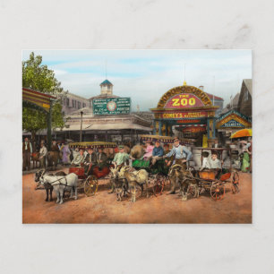 Carte Postale Animaux - Chèvres - Coney Island NY - Promenades p