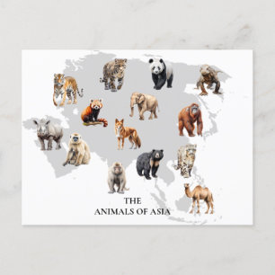 Carte Postale Animaux d'Asie