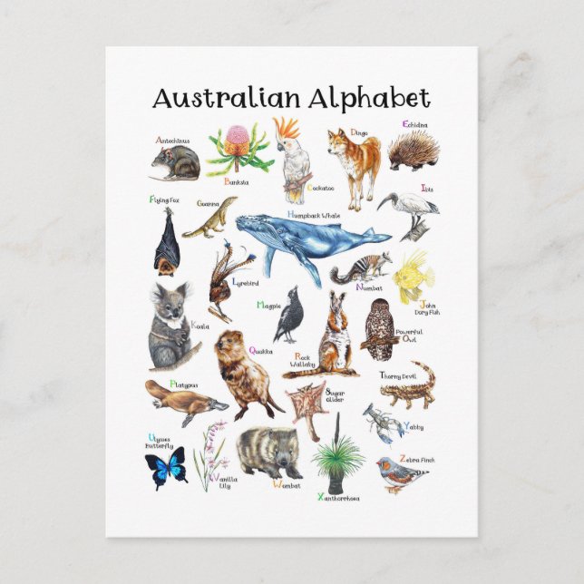 Carte Postale Animaux d'Australie (Devant)