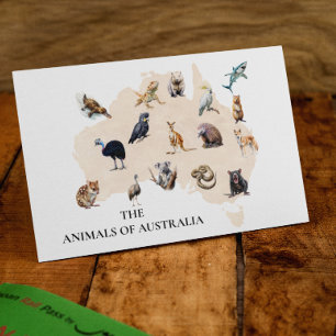 Carte Postale Animaux d'Australie