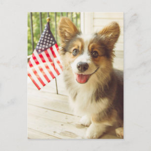 Carte Postale Animaux de bébés cutest   American Flag Corgi
