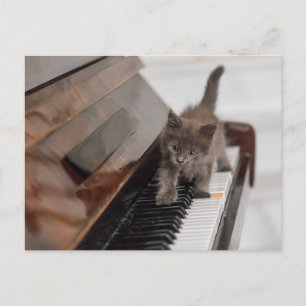Carte Postale Animaux de bébés cutest   Kitten sur piano