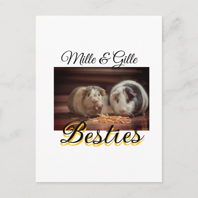 Carte Postale Animaux de compagnie amis besties ajouter nom anim (Devant)