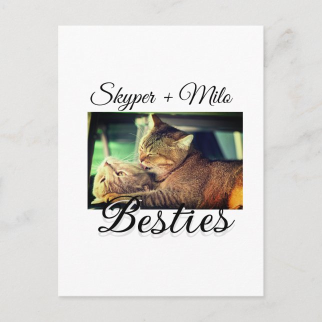 Carte Postale Animaux de compagnie amis besties ajouter nom anim (Devant)