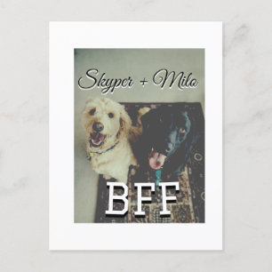 Carte Postale Animaux de compagnie amis besties ajouter nom anim