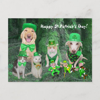 Carte Postale Animaux de compagnie et Leprechauns